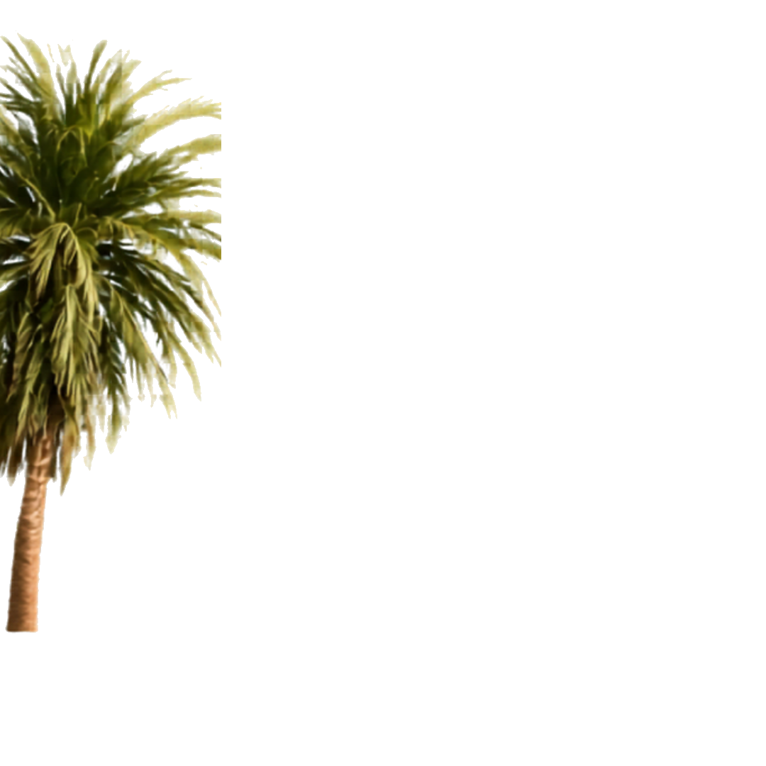 palm branch decoration